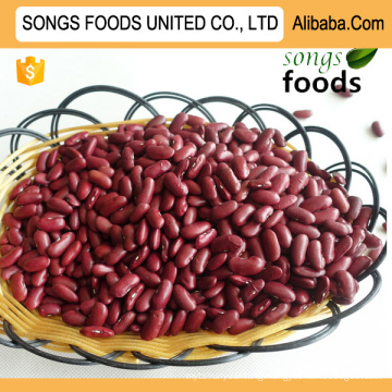 Export opportunities Dark Red Kidney Beans